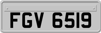 FGV6519