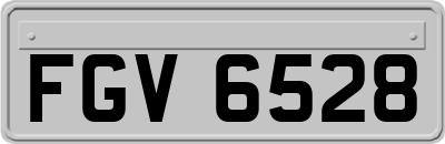 FGV6528