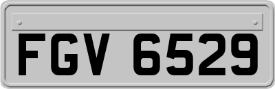 FGV6529