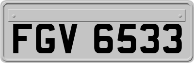 FGV6533