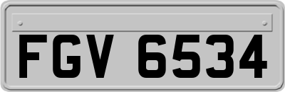 FGV6534
