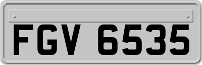 FGV6535