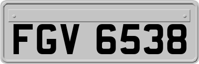 FGV6538