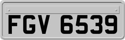 FGV6539