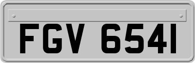 FGV6541