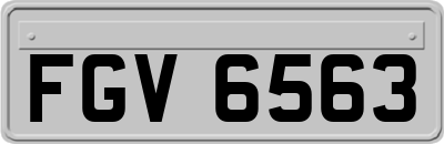 FGV6563