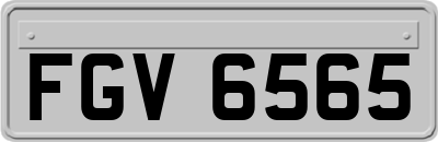 FGV6565