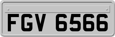 FGV6566