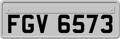 FGV6573