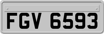 FGV6593