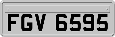 FGV6595
