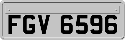 FGV6596