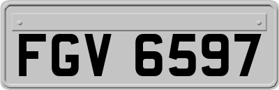 FGV6597