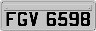 FGV6598