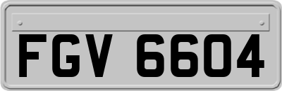 FGV6604