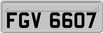 FGV6607