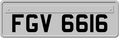 FGV6616