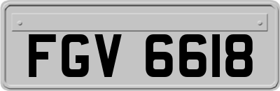 FGV6618