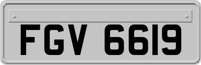 FGV6619