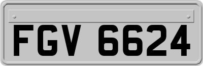 FGV6624
