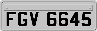 FGV6645