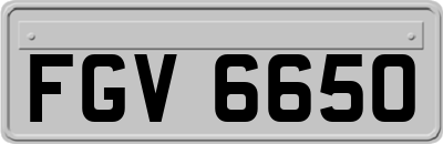 FGV6650