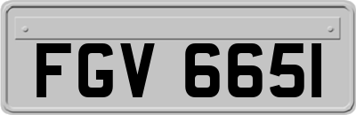 FGV6651