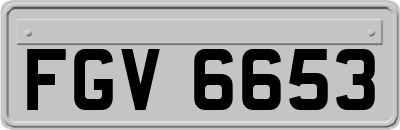 FGV6653