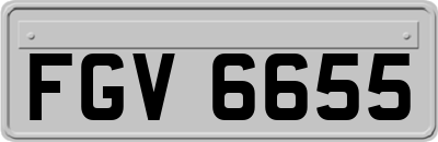 FGV6655