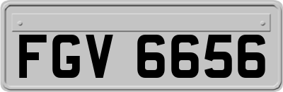 FGV6656