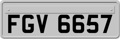 FGV6657
