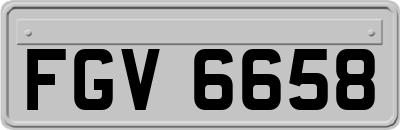 FGV6658