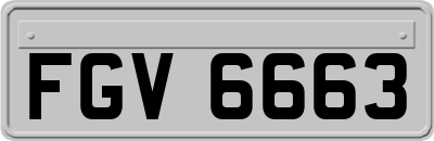 FGV6663