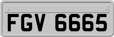 FGV6665