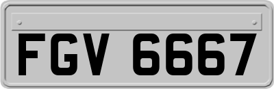 FGV6667