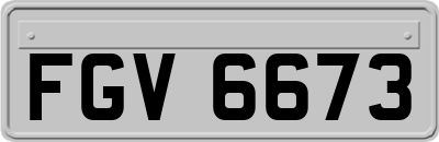 FGV6673