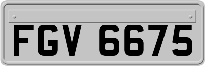 FGV6675