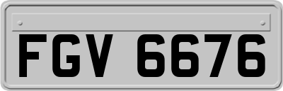 FGV6676