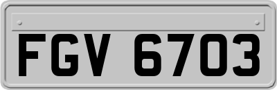 FGV6703