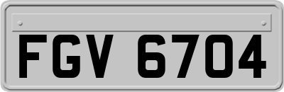FGV6704
