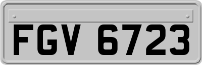 FGV6723
