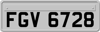 FGV6728
