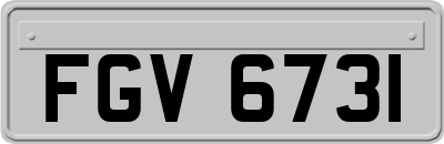 FGV6731