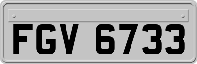 FGV6733