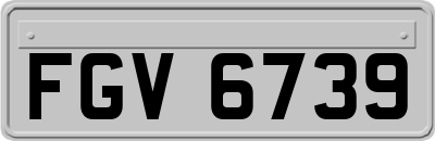 FGV6739