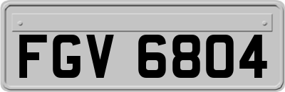 FGV6804