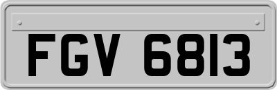 FGV6813