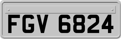 FGV6824