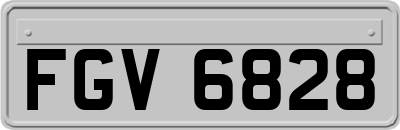 FGV6828