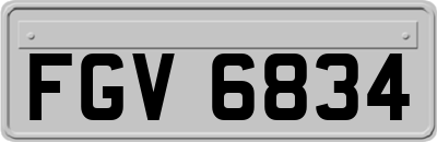 FGV6834